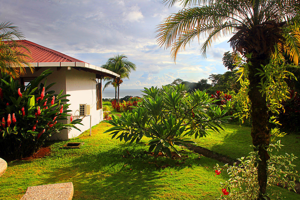 Hotel Lookout Playa Tortuga Ojochal Exteriér fotografie